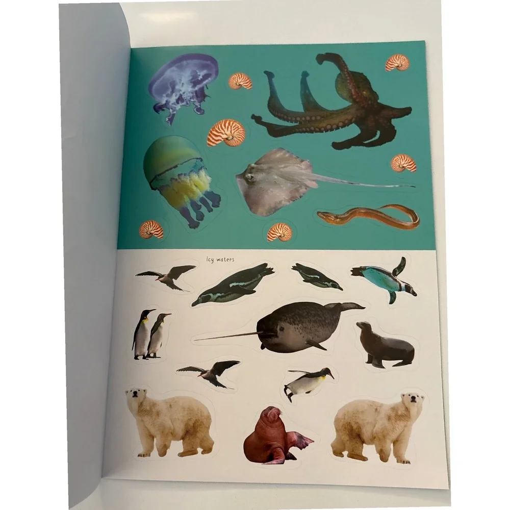 Ocean‎ Creatures Sticker Activity Book Over 70 Reusable Stickers Kids Sharks